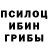 Псилоцибиновые грибы GOLDEN TEACHER z mov