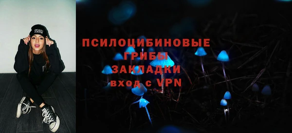 экстази Богородск