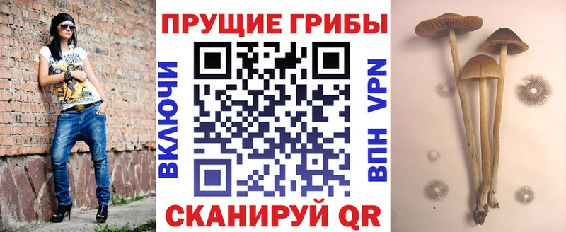 Псилоцибиновые грибы мухоморы  это официальный сайт  Белгород 